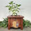 Thumbnail: Arizona Is Home Acrylic Plant Stake (Ivory)