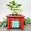 Thumbnail: Handmade Indoor Crimson Fire Planter Box With Hanging Sign Of Your Choice