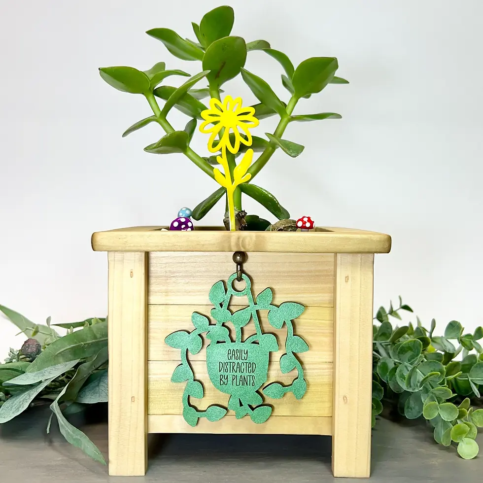 Natural Handmade Indoor Planter Box With Hanging Sign Of Your Choice