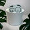 Thumbnail: Silly Twitchy Eye Plant Stake (White/Black)