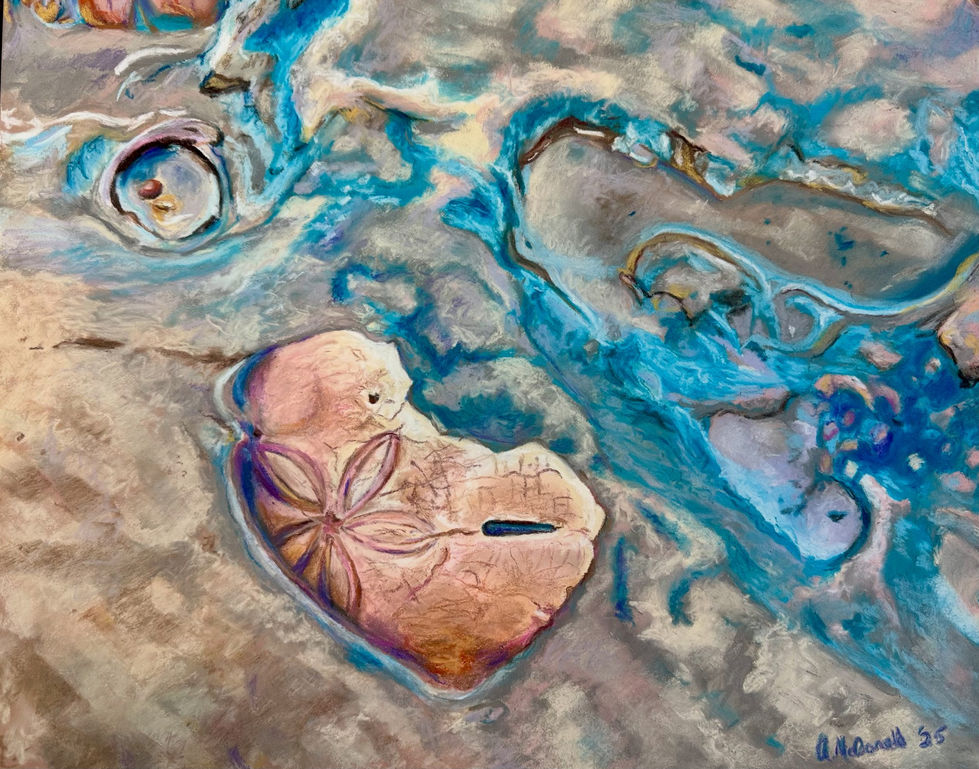 11" x 14" -"Treasures of the Tide"