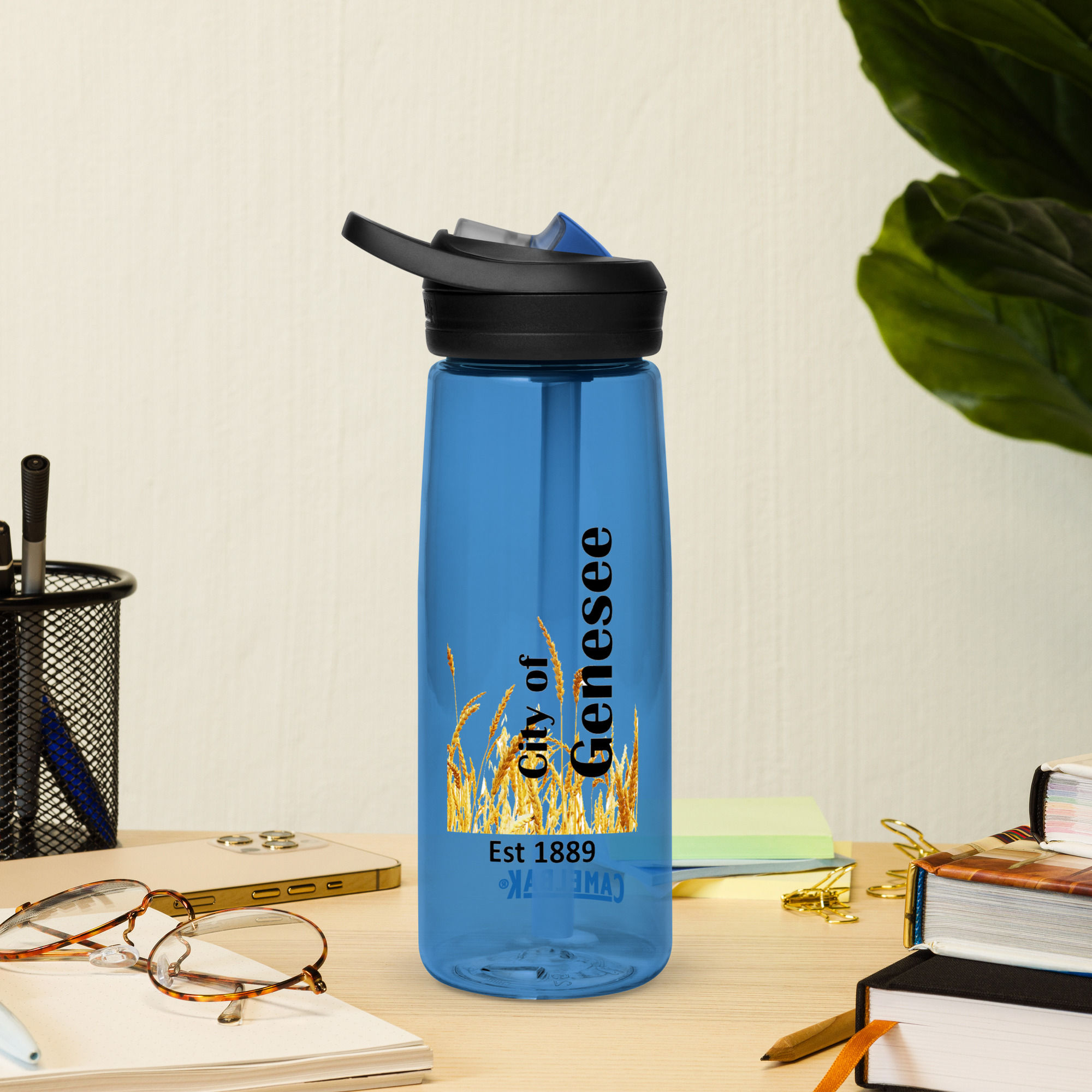 14-03-052 City of Genesee Sports water bottle