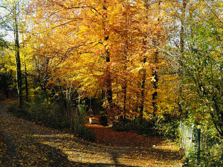 Otoño: Mendoza y Zug