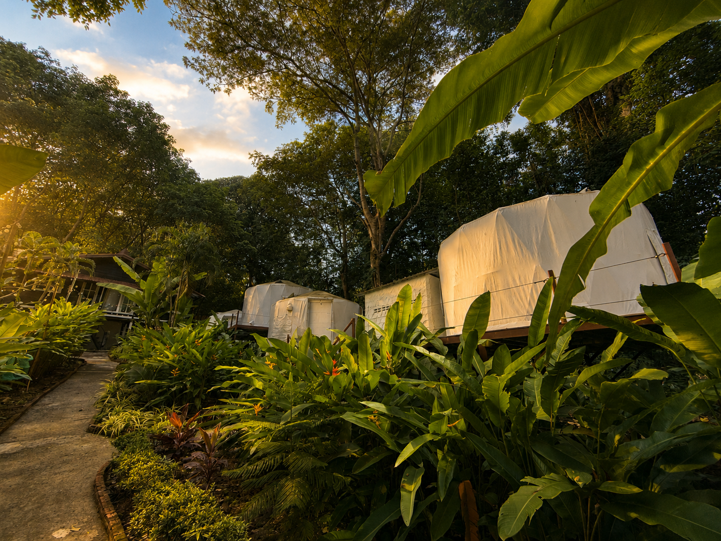 Glamping Yurt immersed in the tropical rainforest