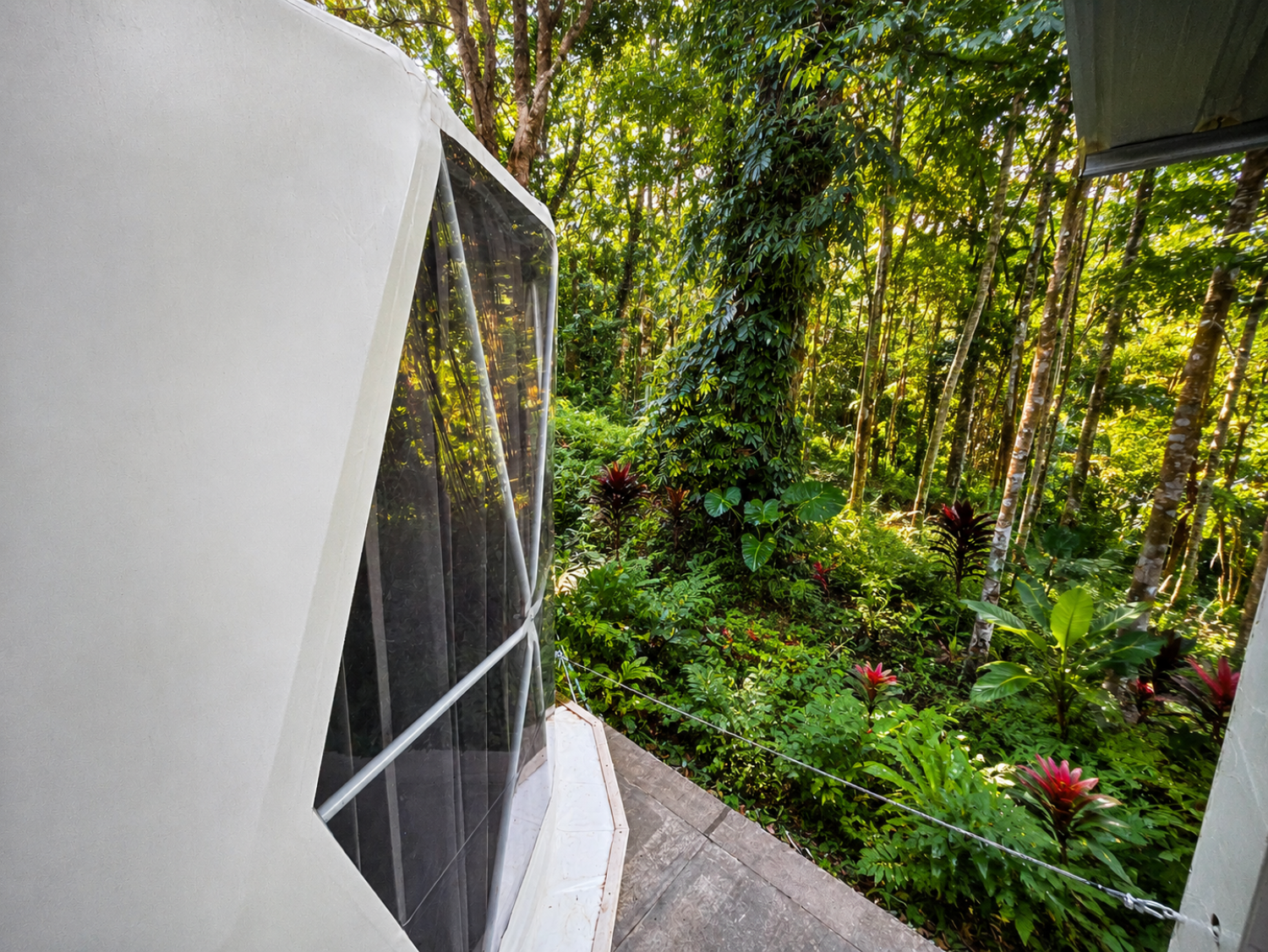 Panoramic jungle window inside a Glamping Yurt at Vanara Eco Resort