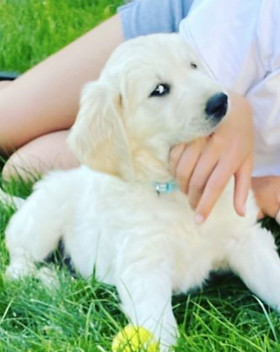 Screen%20Shot%202020-05-17%20at%2021.02_