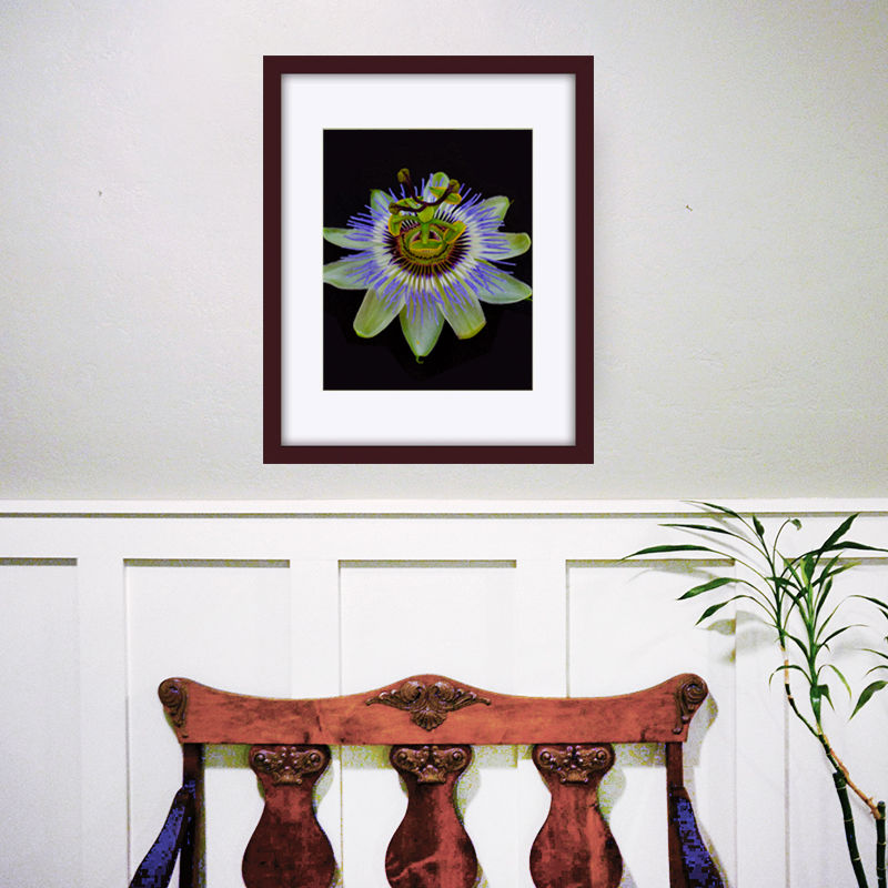 Thumbnail: Passion Flower