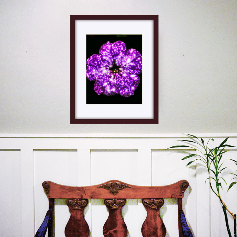 Thumbnail: Galaxy Petunia