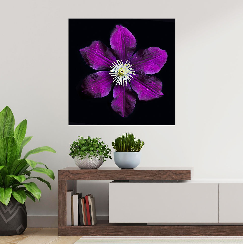 Thumbnail: Vagabond Clematis