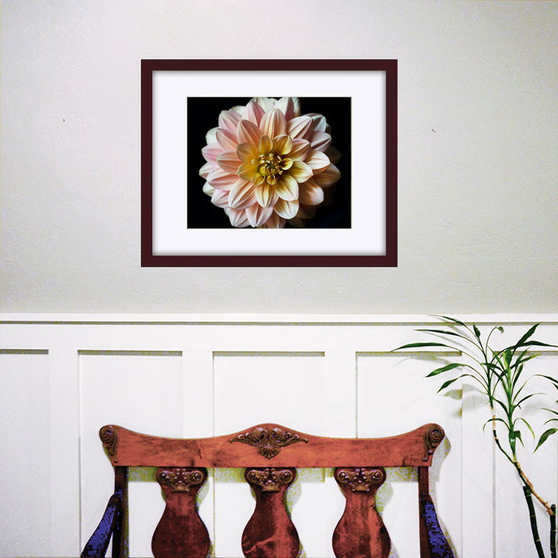 Thumbnail: My Forever Dahlia