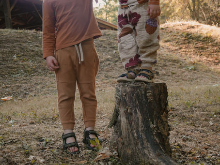 L'école déshumanise nos enfants et menace leur spiritualité