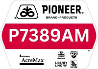 P7389AM