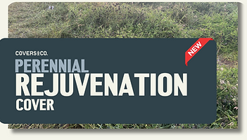 perennial rejuvenation.png