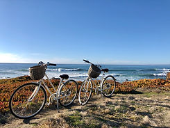Moonstone Beach Cambria.jpeg