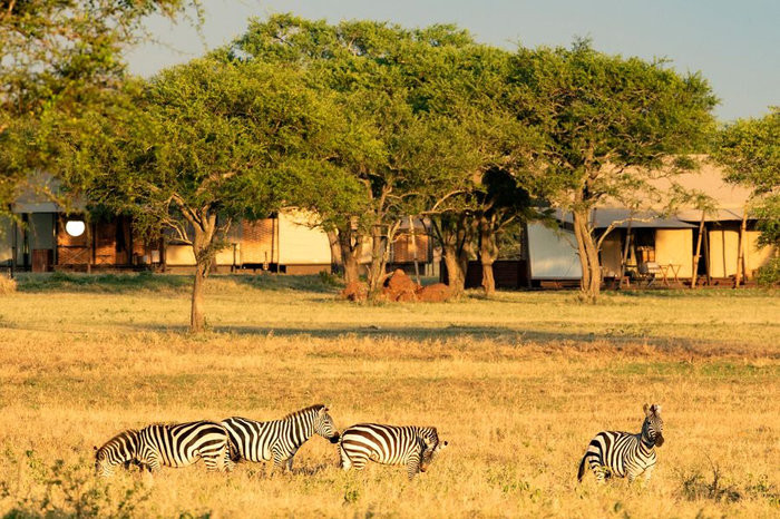 Image courtesy of Singita