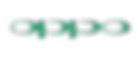 oppo.webp