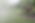 LandscapingBuffalo.png