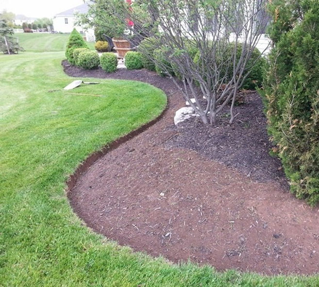 Freshly cut edge defines the landscape, preventing mulch from encroaching into the grass area.