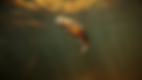 8.png