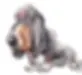rs=w_600,h_300,cg_true (2).webp