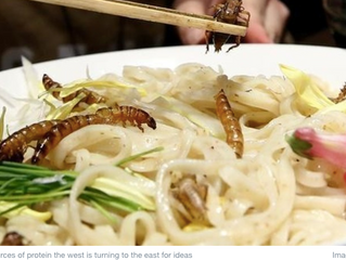 【💡| WEF短片分享】吃出蟲圍，蟲蟲農場能為糧食問題解套？