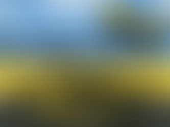 What Information Is Required for Spirit Airlines Lost and Found?