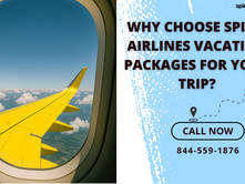 Why Choose Spirit Airlines Vacation Packages for Your Trip?