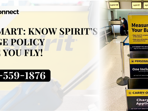 spirit airlines baggage policy