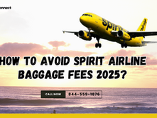 How to Avoid Spirit Airline Baggage Fees 2025?