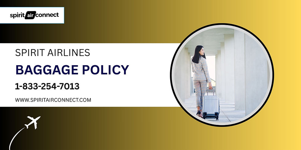 Spirit Airlines baggage policy