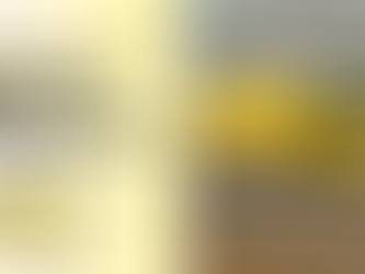 Is Spirit Airlines a safe airline to fly?