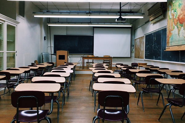 Termite Control, Termite Inspections, and Termite Damage Repair for schools