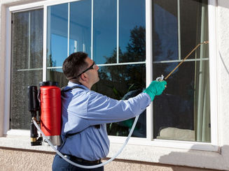 Why Professional Termite Management Matters for Long-Term Home Protection