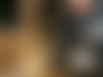 How Missed Termite Inspection Repair Costs Can Turn Into Massive Home Repairs