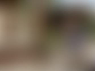 House pest inspection: Pest inspection for homebuyers