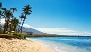 ree