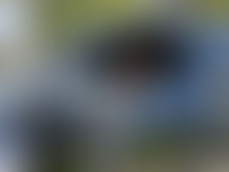 Stress-Free Holiday Travel in California: Why Private Chauffeur Services Make All the Difference