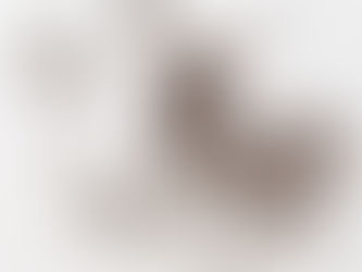 Ants Exterminator | Licensed Specialists