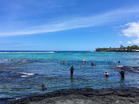 Snorkeling Spots on the Big Island: A Beginner’s Guide