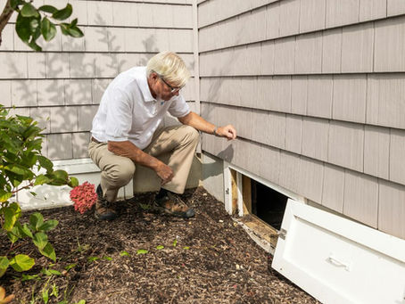 How Soil Treatments Work and Why They’re Essential for Effective Termite Control