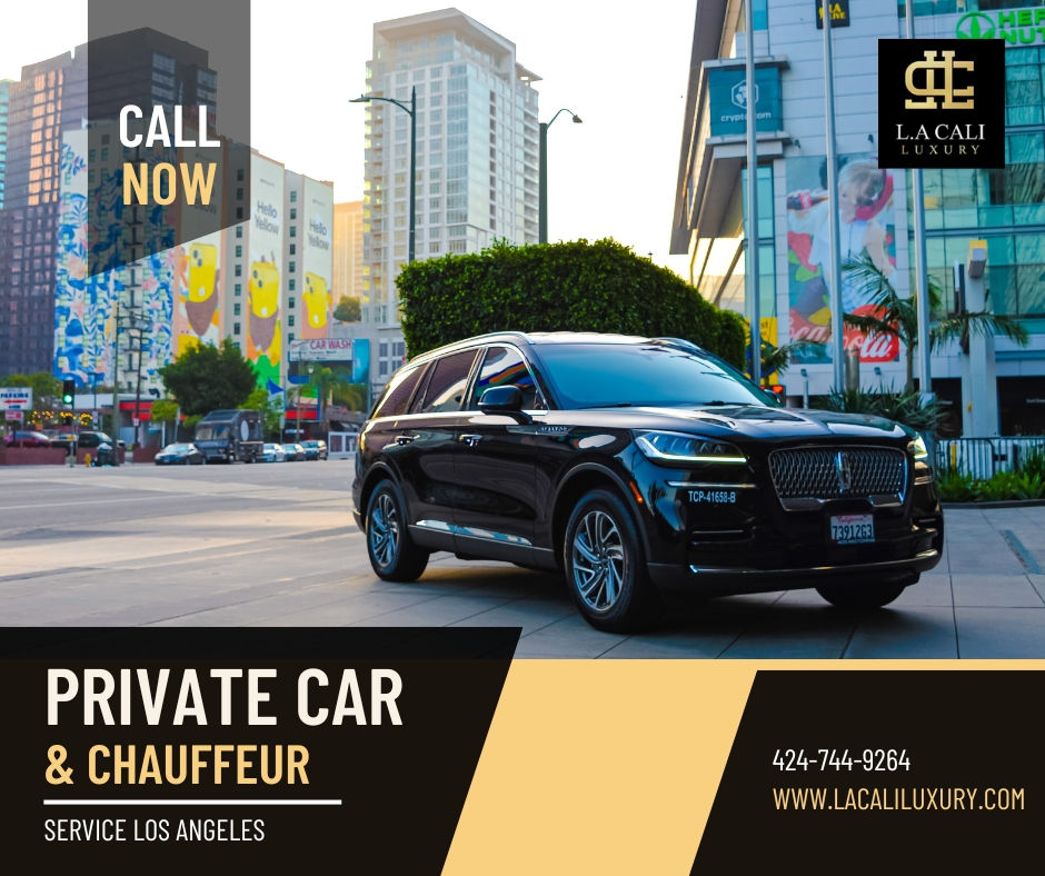 Private Car and Chauffeur
