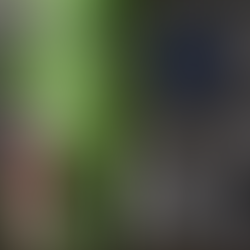 How Do I Avoid LAX-it (Rideshare Chaos) and Book a Private Car Instead?