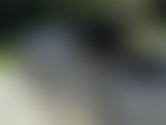 Why Hiring a Professional Grill Cleaner Before May Is Essential