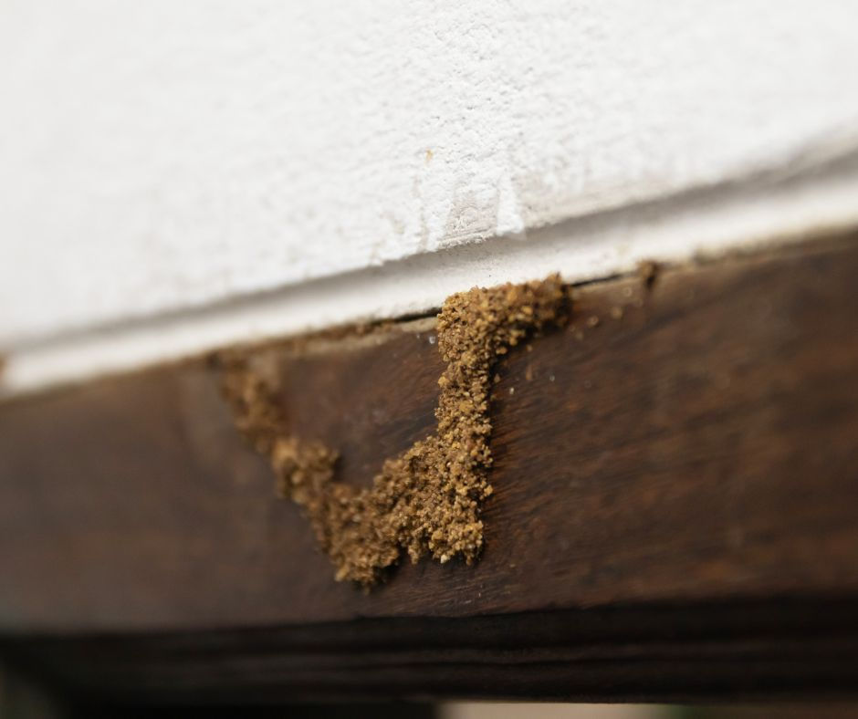 Pest control technician applying termite treatment near a deck foundation