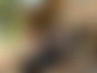 Affordable Termite Inspection: Protecting Your Home from Hidden Structural Damage