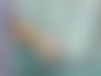 Different Types of Grab Bars and Their Uses