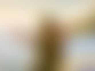 Hula: More Than Just a Dance, a Cultural Expression