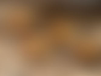 California Termite: Types of Termite Infestations