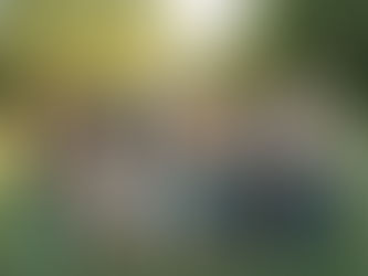 Larisch Family | Extended Family Photos | Southern Utah Photographer