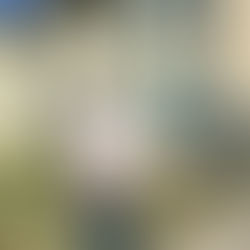 The Unexpected Connection: How Blindness Opened Doors I Never Knew Existed